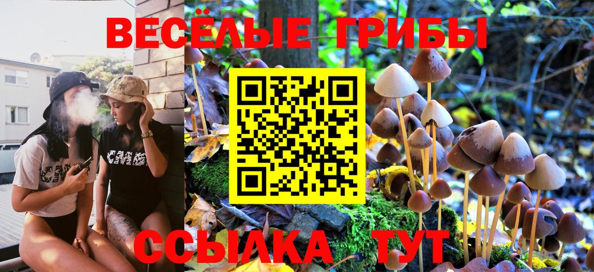 Златоуст  Псилоцибиновые грибы Psilocybe  Вход с VPN  Галлюциногенные грибы Magic Shrooms 